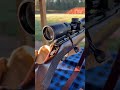 Savage B22 Bolt Action Rifle #Guns