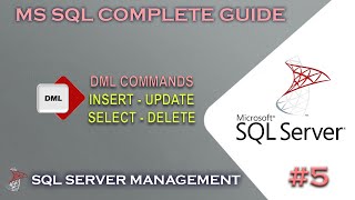 MS SQL | DML Commands - Insert - Update - Select - Delete #5