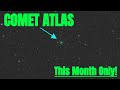 Comet C/2019 Y4 - ATLAS Timelapse