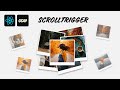 React + GSAP ScrollTrigger: Image Reveal Animation on Scroll #gsap #reactjs