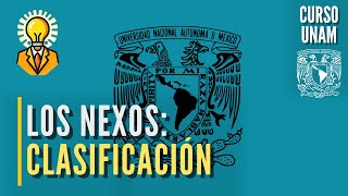 📚 Los NEXOS | Copulativos, disyuntivos y adversativos | Curso UNAM español