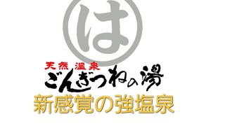 【ごんぎつねの湯①】愛知県 半田市