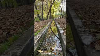 شاهکاریست سمفونی پاییز، شرشر باران، خش خش برگ ها و صدای فریاد سکوت #پاییز #autumn #کاخ