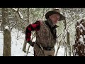 snowy walk in the mountains of appalachia