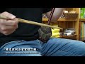 您能聽出蟒皮及人造皮二胡的不同之處嗎？｜python skin erhu vs. synthetic leather erhu can you hear the difference？｜二胡琴人