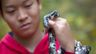 Discovering New Species | UMD
