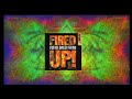 funky green dogs fired up 2023 dj ari exclusive mashup