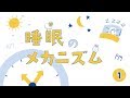 賢者の快眠　WEB 動画｜ 睡眠と体内リズムのはなし　睡眠のメカニズム　①