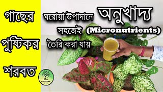 বাড়িতে সহজেই তৈরি করুন গাছের অনুখাদ্য / Make micronutrients for plants easily at home