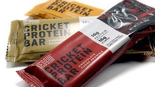 EXO Cricket Protein Bar Review