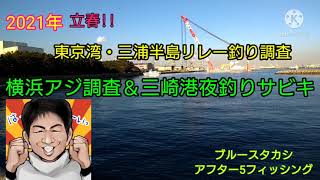 【東京湾・三浦半島】陸っぱりリレー釣り調査!!2021年立春。暦の上では春到来。気が早いとは思いますが、横浜にアジが戻って来ていないか?そしてもう一つ、三崎のマイワシ夜釣りが気になっての調査釣行です。