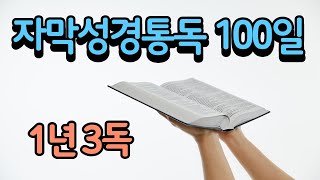 자막성경통독100일 [88일- 요한복음 12장-21장]