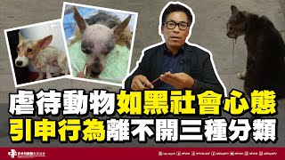 【虐待動物如黑社會心態 引申行為離不開三種分類】