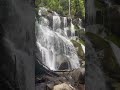 amazing waterfalls in victoria toorongo falls reserve australia travel waterfall awesomeplaces