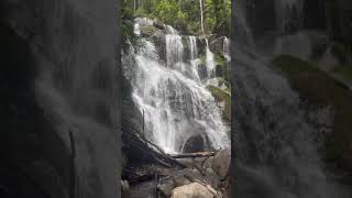 Amazing waterfalls in Victoria, Toorongo falls reserve #australia #travel #waterfall #awesomeplaces