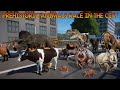 Animals VS Prehistoric Animals Race in the City included Mammoth, T-Rex, Elephant, & Triceratops