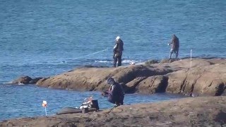 ３月２１日月曜日の田辺市天神崎の釣り人