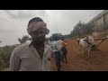 racing bulls pattikonda super pulling halikera desiya seema bulls pattikonda @racingbulls007