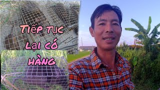 thăm bẫy chuột tập 9 tt lại cs hàng khủng Hòa Nguyễn chuột đồng