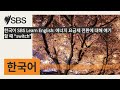 한국어 sbs learn english 에너지 요금제 전환에 대해 얘기할 때 “switch” sbs korean sbs 한국어 프로그램