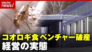 【コオロギ食】ベンチャー企業が破産…経営の実態とは 昆虫食に未来はある？「“SDGs”綺麗事だけでビジネスはできない」｜ABEMA的ニュースショー