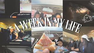 a week in my life !!