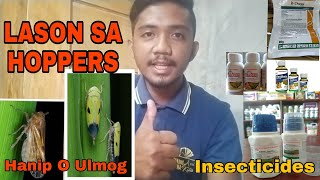 Ano ang Brown plant hopper at Green leaf hopper | Pamatay  sa Ulmog, Hanip o Berdeng Ngusong Kabayo