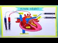 heart working model making using syringe easy - science project exhibition | craftpiller