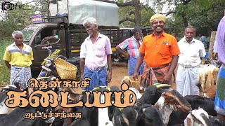 kadayam goat market  | கடையம் ஆட்டுச்சந்தை | joe tv