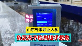 山东外事职业大学负氧离子高出想象，乳山银滩真是天然氧风水宝地