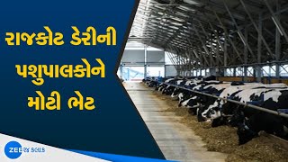 Rajkot Dairy Big Gift To Cattle Breeder | રાજકોટ ડેરીની પશુપાલકોને મોટી ભેટ | Rajkot Dairy News