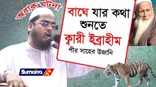 বাঘে যার কথা শুনতো | New waz | Uzani Waz Qari Ibrahim