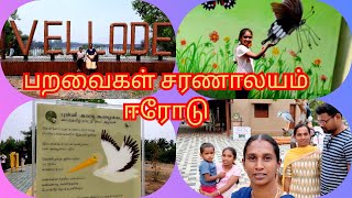 Vellode Bird Sanctuary 🐦  பறவைகள் சரணாலயம் ஈரோடு கொங்கு நாடு சமையல்