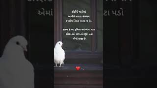 અનમોલ વિચાર || અનમોલ વિચાર || #shorts #short #viral ‎@JS_MER_SHORTS_VIDEO 