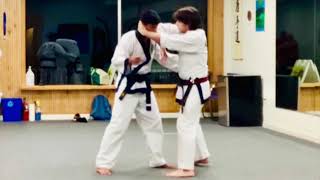 Practical Tang Soo Do - Form, Interpretation, Application