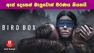 ඇස්දෙක වහලා තියාගන්න තරමට ඔයාට හොඳයි | Movie Explanation in Sinhala | Sinhala Talkies