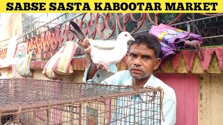 CHEAP AND BEST PIGEON SELLER || OF GARIA HAT PIGEON MARKET #kolkatapigeonsunny