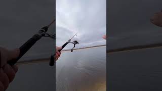 Spin fishing🎣 / Съездил на рыбалку. Спиннинг🎣