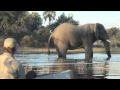 Alan McSmith - Learning From Wilderness