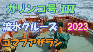 流氷とアザラシを見に紋別市へ行く