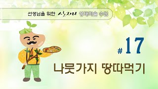 생태미술 수업 #17 나뭇가지 땅따먹기