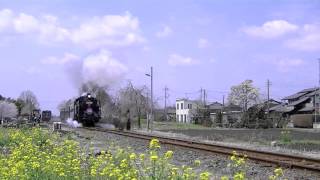 C11 325桜色プレート　西田井発車