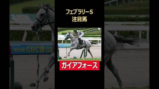 フェブラリーS注目馬 ガイアフォース！#ガイアフォース #フェブラリーステークス #東京競馬 #東京競馬場