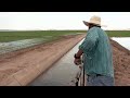 Debate grows over parched California's thirsty crops