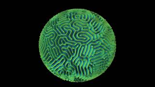 Maze patterns for the Gray-Scott model on the sphere with random initial state
