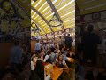 OKTOBERFEST 2022 Munich #oktoberfest #beer #munich #fun #laugh #sing #amazing #wow #awesome #wtf