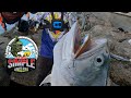 Queenfish Battle at Scientific Centre Kuwait I Marina Walk @erwinmixvlog3073