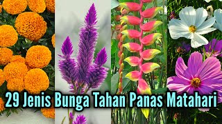 29 Jenis Tanaman Hias Bunga Paling Hits !! Tahan Panas Matahari Dan Mudah Dirawat