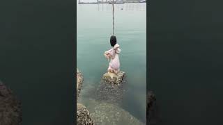 fishing crab with chicken