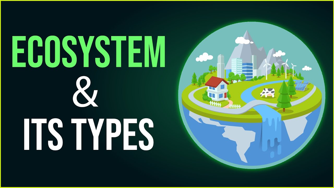 What Is Ecosystem? | Different Types Of Ecosystem | Environmental ...